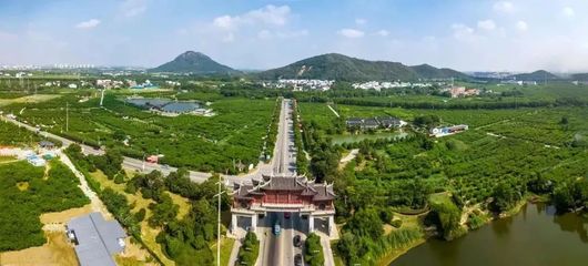 阳山桃源风情小镇 以匠心服务绘就旅游风情新画卷