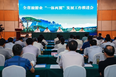 全省旅游业“一体两翼”发展推进会召开 祥源控股受邀交流发言 共绘旅游服务新蓝图